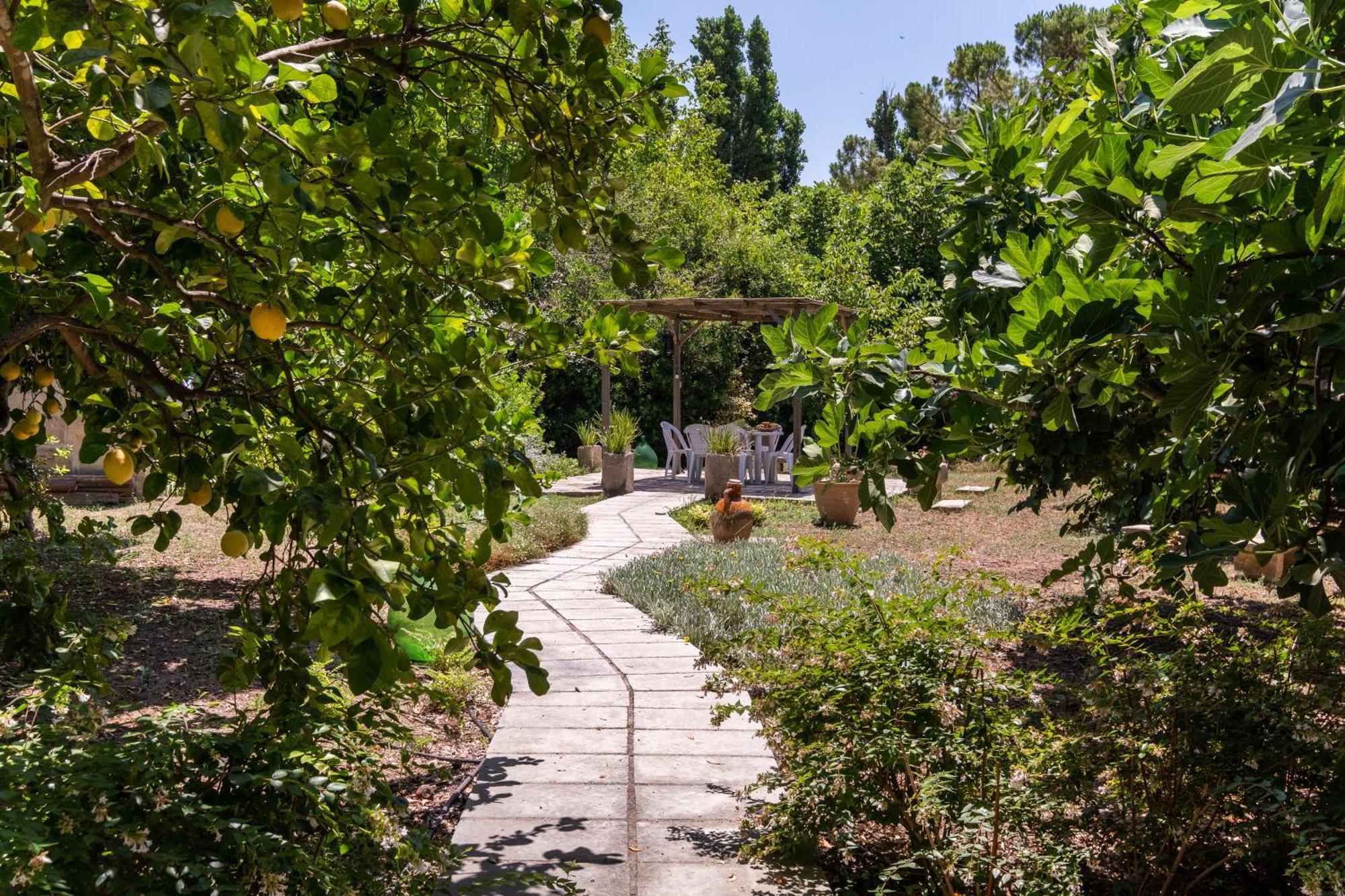 הוילה מורו לצ'זה La Dimora Elia' מראה חיצוני תמונה